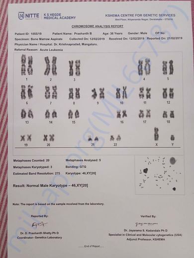 Chromosome Analysis Report