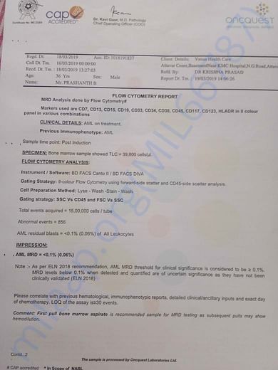 Flow Cytometry Report