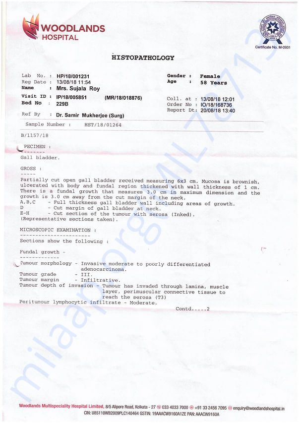 Medical Report