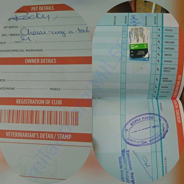 Health passport with Multi vaccine stamp Ronnie