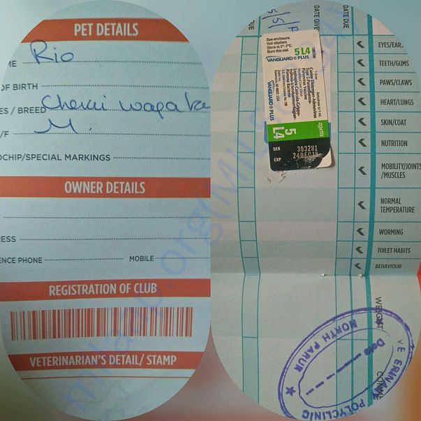 Rio health passport with multi vaccine