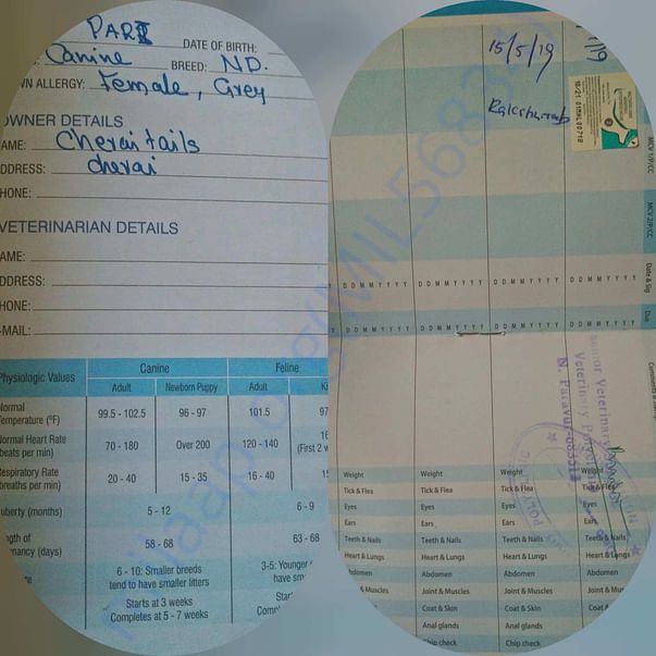 Pari health document (had multi vaccine got her rabies)
