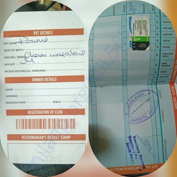 Health passport with Multi vaccine stamp Ronnie