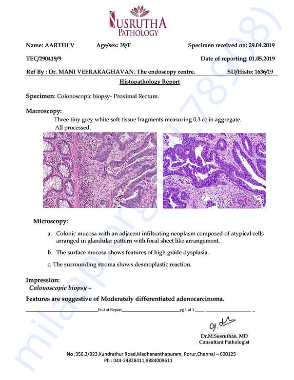 Estimation Letter