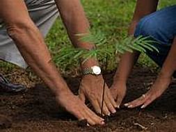 Help Us on our mission of Afforestation
