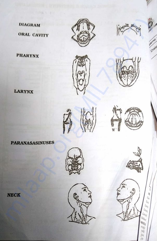 Diagram oral cavity