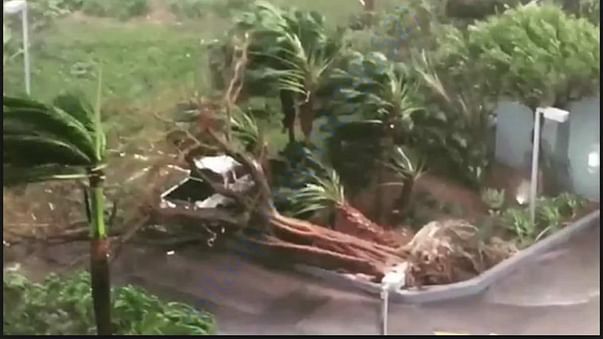 Devastate Odisha by Cyclone Fani_5