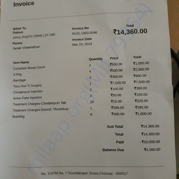 Bill for treatment and surgery at Paws and Claws- 23.3.2019