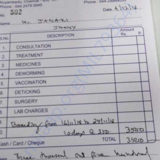 Bill for treatment and boarding at Pet Plaza - 16.11.2018 - 25.11.2018
