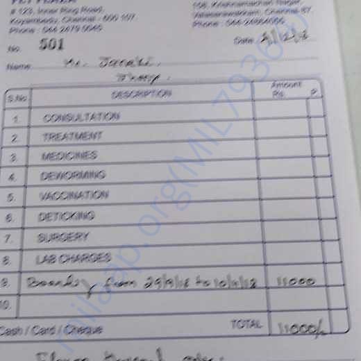 Bill for treatment and boarding at Pet Plaza - 29.9.18 - 10.11.2018