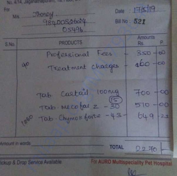 Bill for treatment at Auro Multispecialty Pet Clinic - 17.05.2019