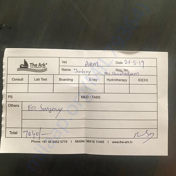 Bill for surgery at The Ark - May 20th, 2019