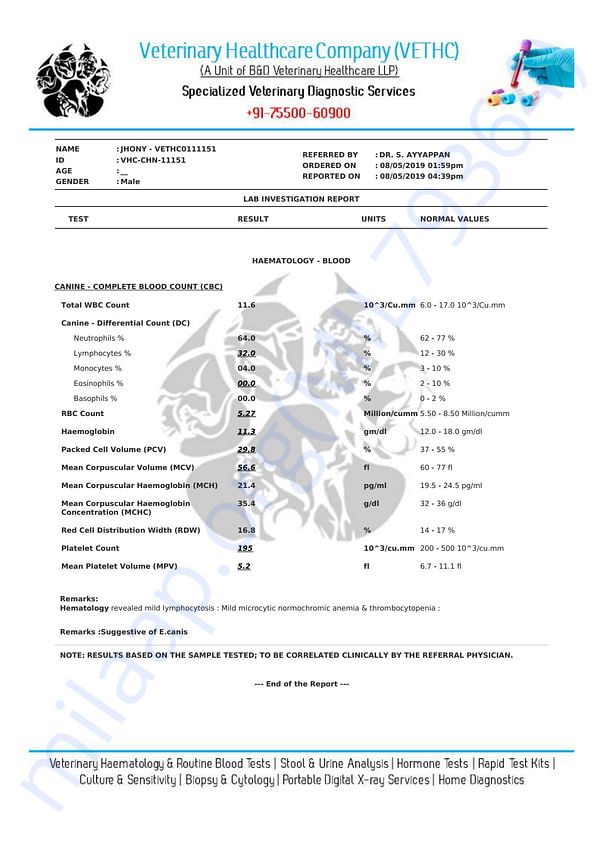 Medical Report- latest blood test