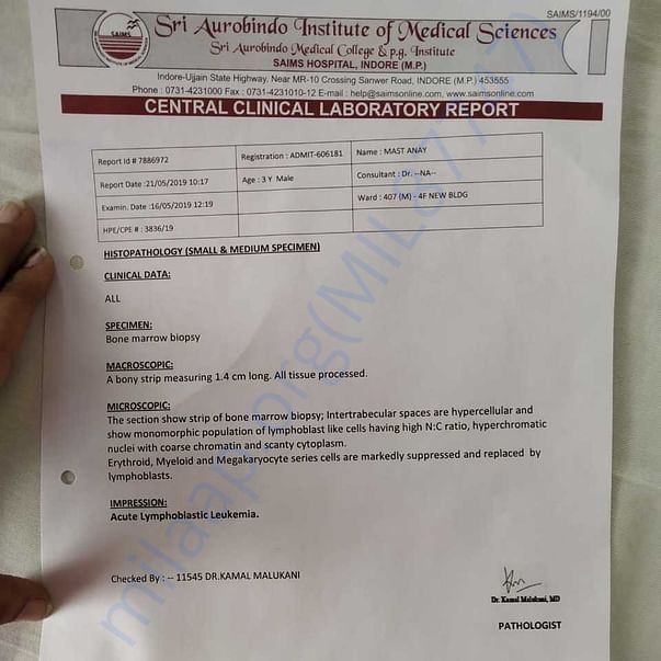 Medical Report