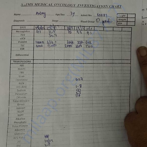 Medical Report
