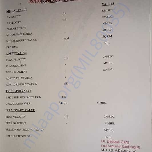 Medical Report