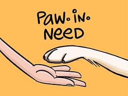 Help stray to get vaccinated