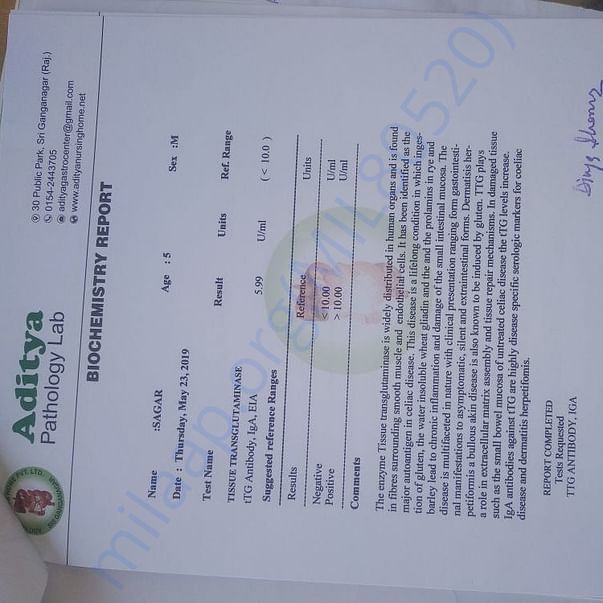 Medical Report