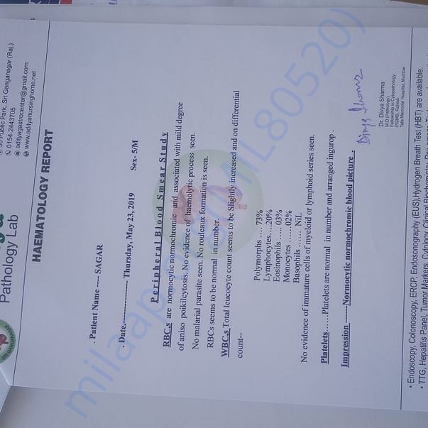 Medical Report