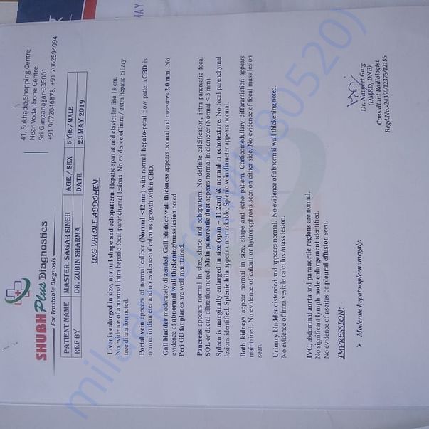 Medical Report