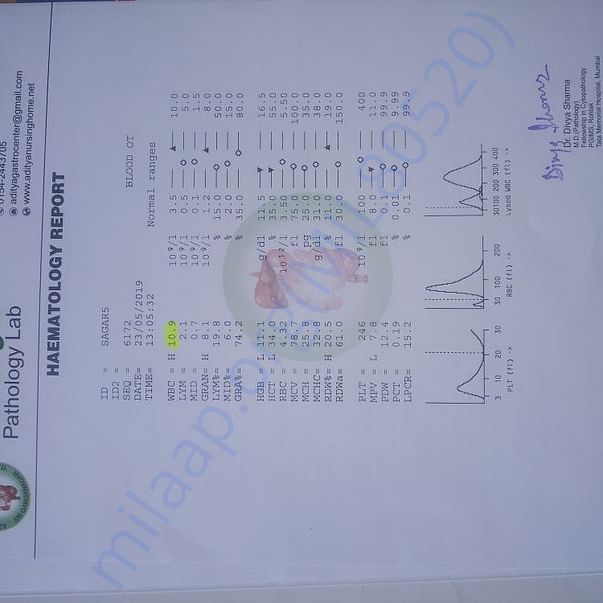 Medical Report