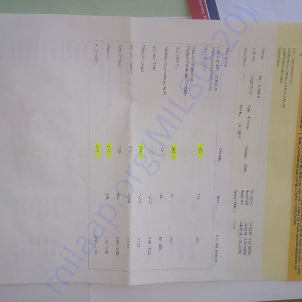 Medical Report