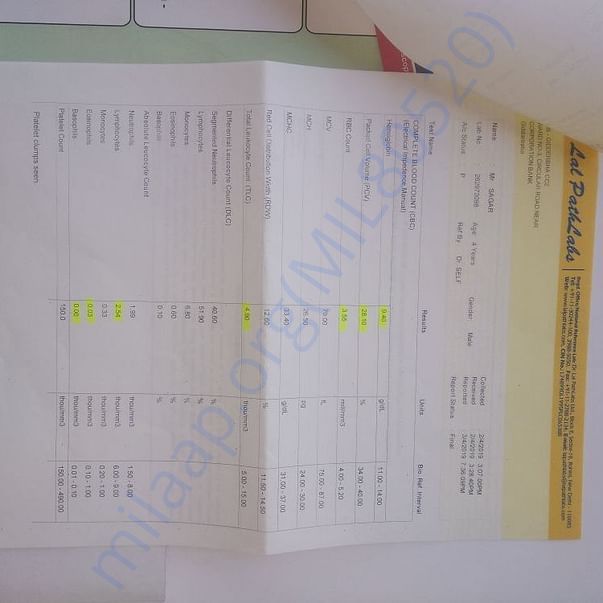 Medical Report
