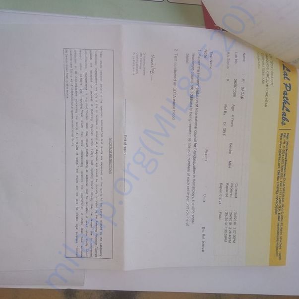 Medical Report