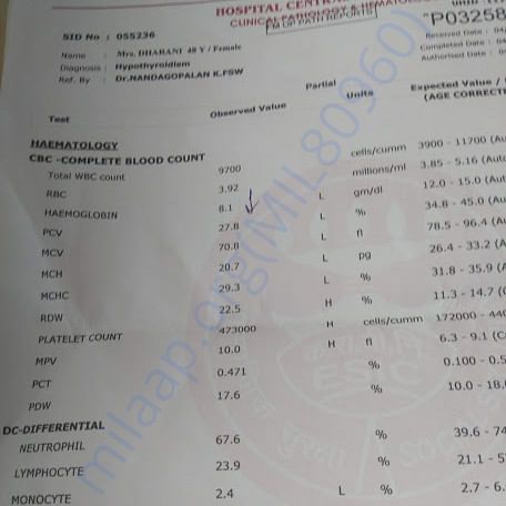 Medical Report