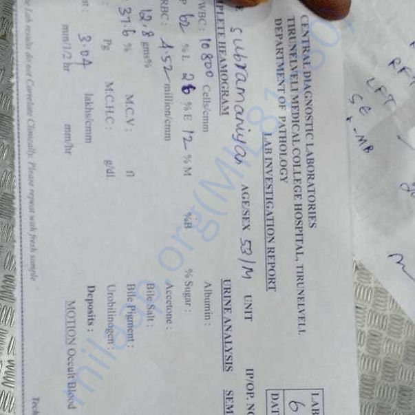 Medical Report