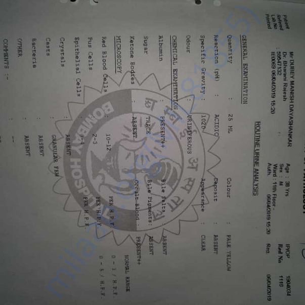 Medical Report
