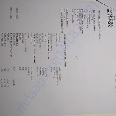 Medical Report