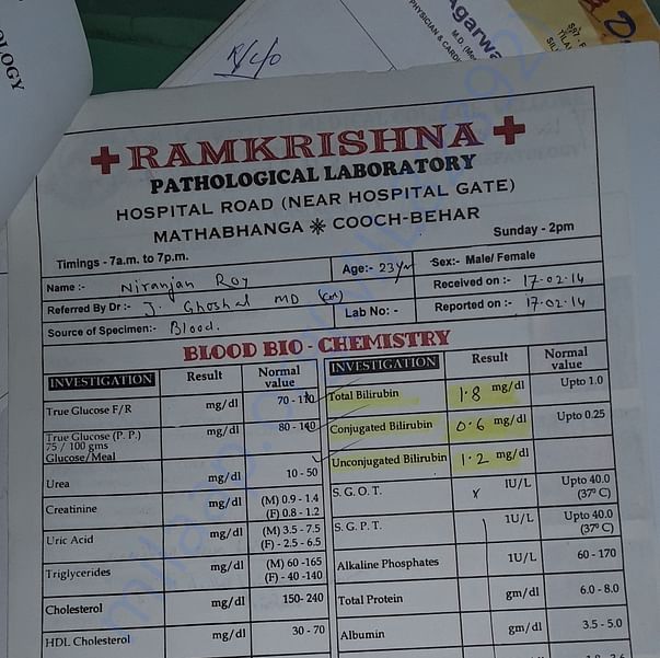 Medical Report