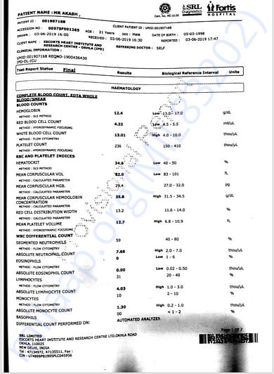 Report 7