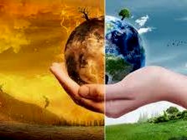 Help To Save Tree & Fight Global Warming