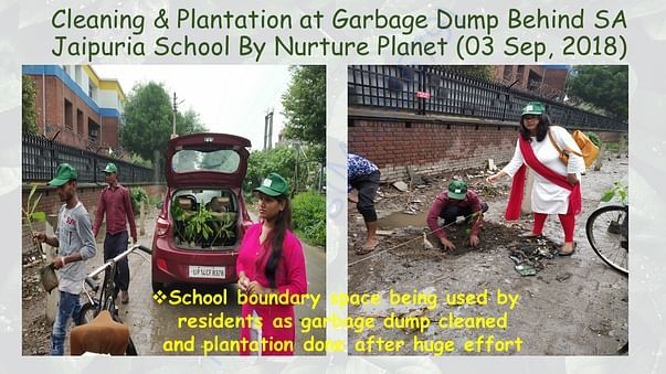 waste dump turned green