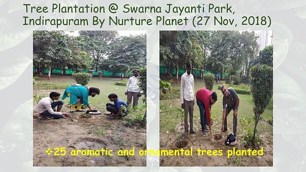 Plantation in SwarnJayanti Park Indirapuram