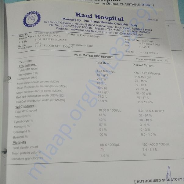 Medical Report