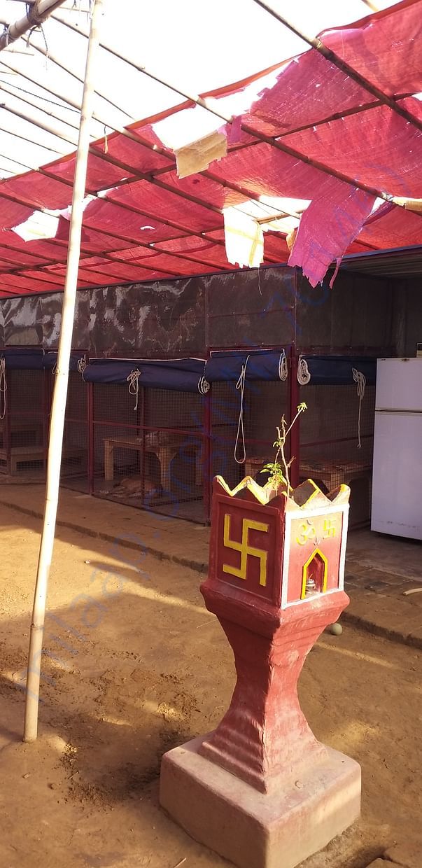 Tent at present in our Shelter Home