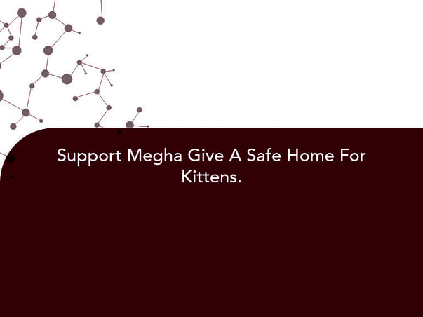 Support Megha Give A Safe Home For Kittens.