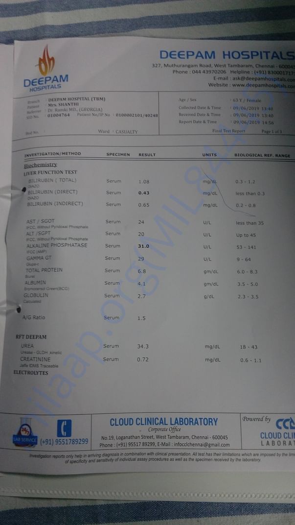 Report