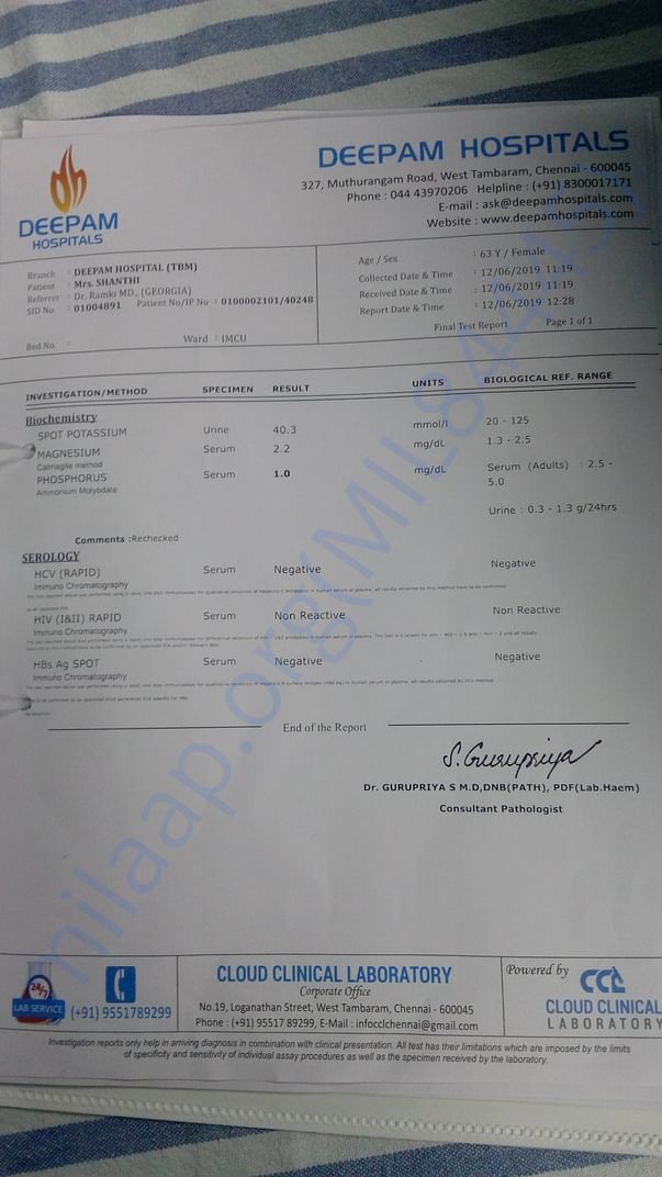Report