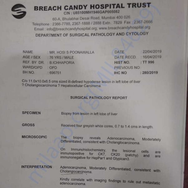 Medical Report