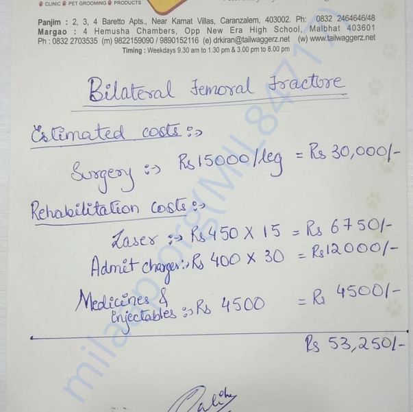 Estimation Letter