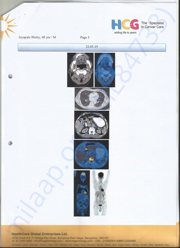 Scan Report