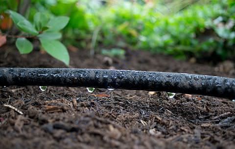 At Swayam we focus on drip irrigation and train farmers to adopt it