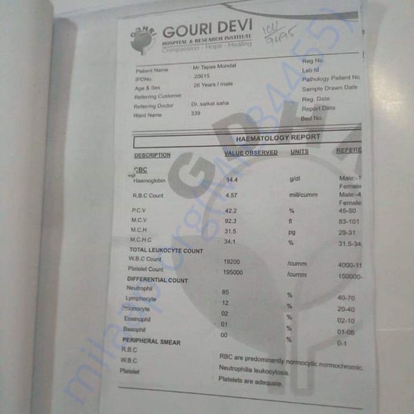 Medical Report
