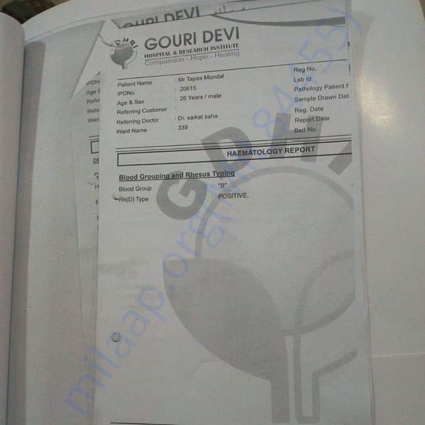 Medical Report