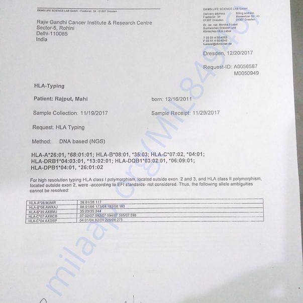 Medical Report
