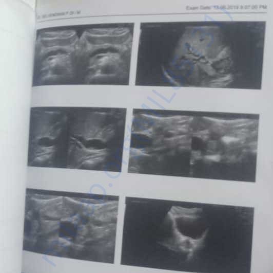 Medical Report